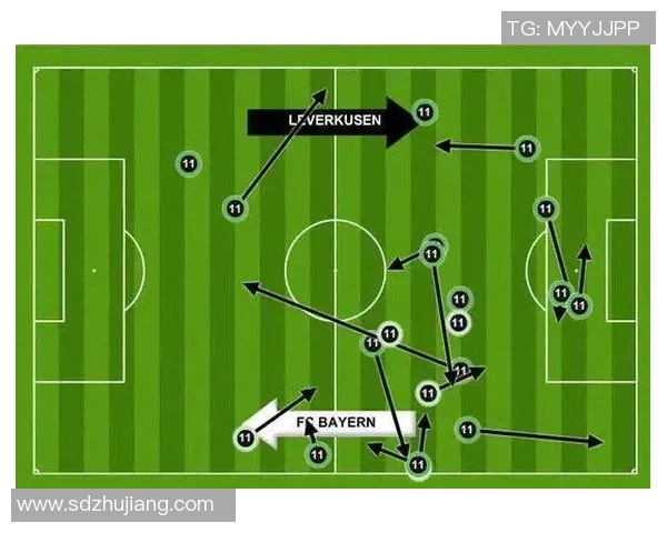 上海羽毛球队反击战术解析与实战应用探讨 上海羽毛球队反击战术解析与实战应用探讨