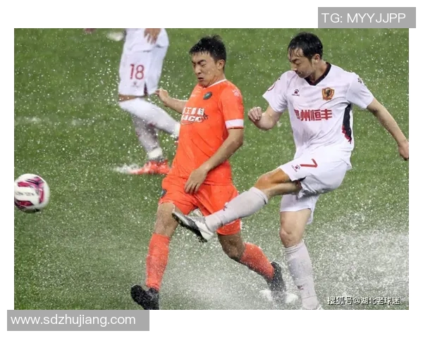 全国锦标赛积分榜:成都排球队以81分领跑 全国锦标赛积分榜:成都排球队以81分领跑