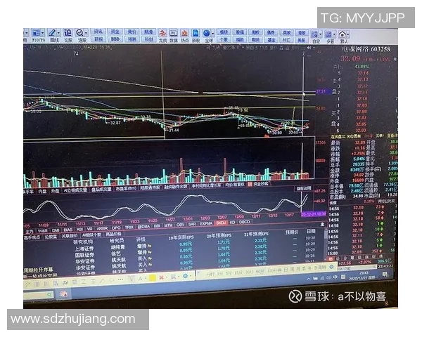 南京篮球队与上海篮球队赛后技术分析与战术复盘探讨