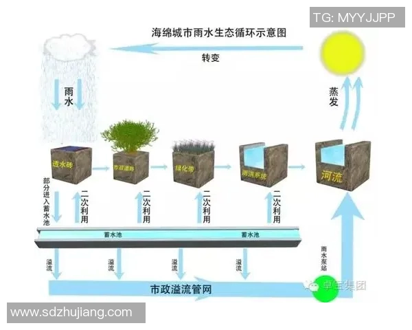 成都乒乓球队的阵地战策略与发展现状深度解析