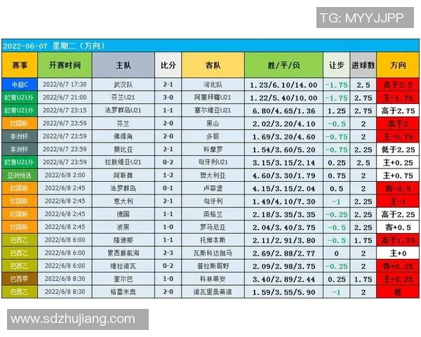 西安排球队意识表现的数据分析与战术优化研究