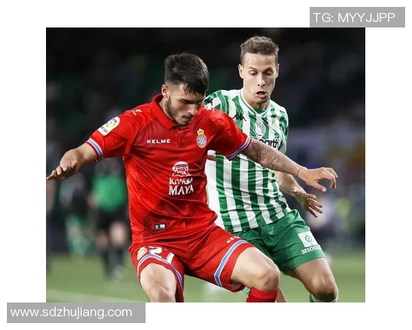 西班牙排球队战术创新引领潮流最新排球战术TOP10解析