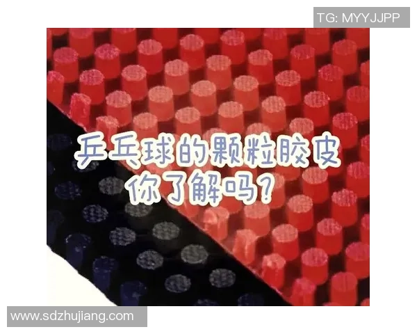 乒乓球巨献：探秘成都乒乓球队的心理素质