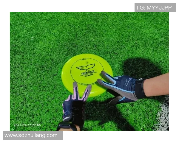 飞盘新手攻略：耐力入门指南