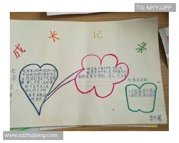 杯赛特别报道：深圳排球队的成长故事