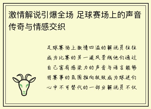 激情解说引爆全场 足球赛场上的声音传奇与情感交织